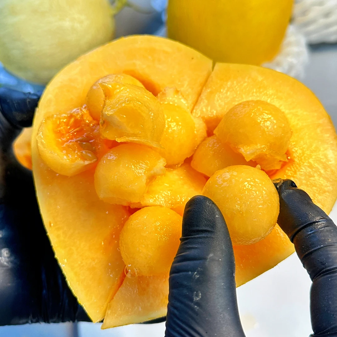 正宗民勤蜜瓜当季新鲜水果脆甜多汁金色年华哈密瓜产地直发