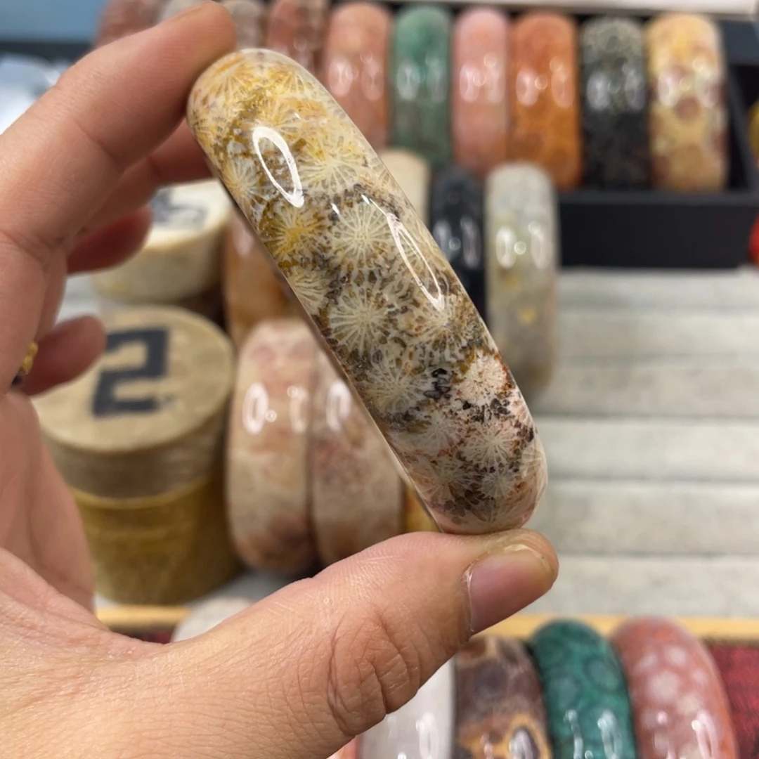 未镶嵌手镯硅化玉
