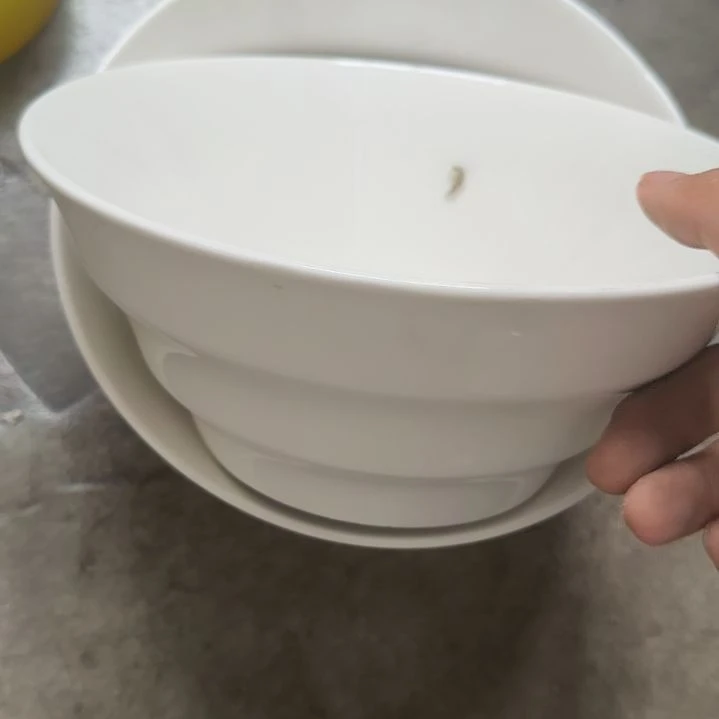 瓷陶瓷盘子碗啥都有