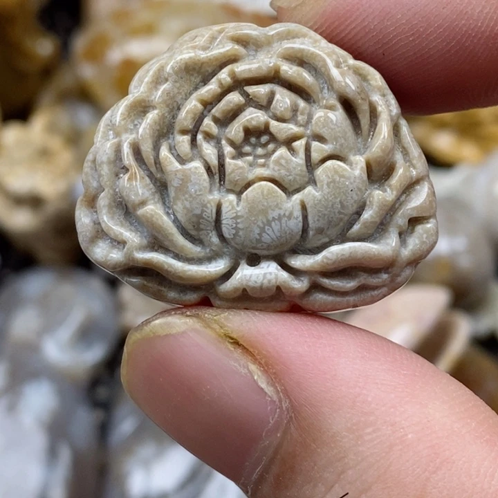 颈饰未镶嵌硅化珊瑚（珊瑚玉）小