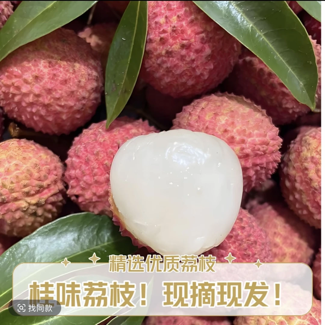 【顺丰包邮】桂味荔枝广东新鲜应季水果 饱满多汁不上火