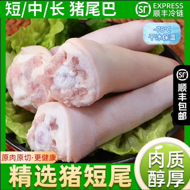 【顺丰包邮】新鲜现杀干净去毛整根短中长猪尾巴农家散养生鲜冷冻