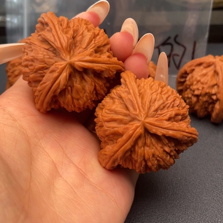 伯***爵吊坠文玩核桃白狮子