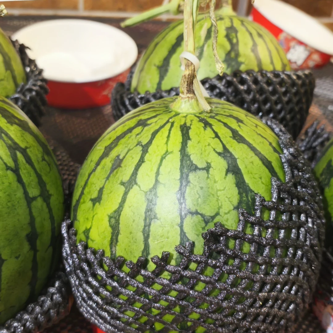 甜王一个约10斤甜瓜