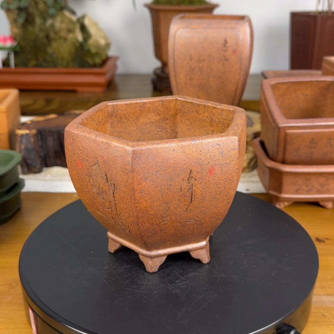 紫砂花盆花****g紫砂花盆