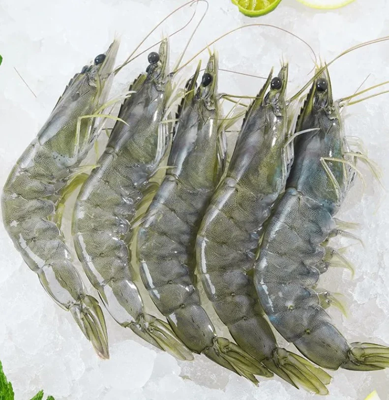 5斤海洋大虾13-16厘米/只13-15个/斤活虾速冻发货