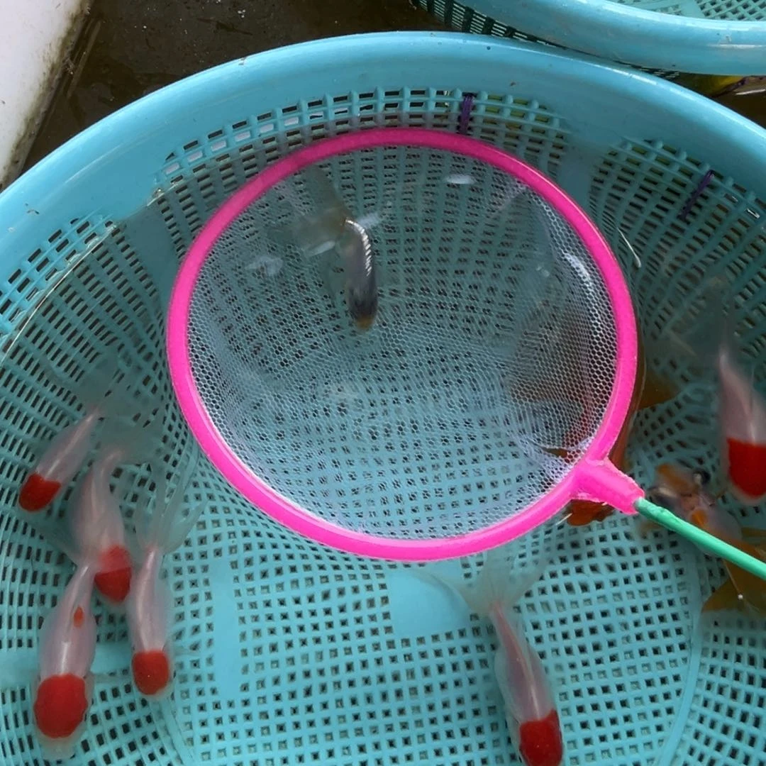 小***包海水16号加一条商品蓝丹凤