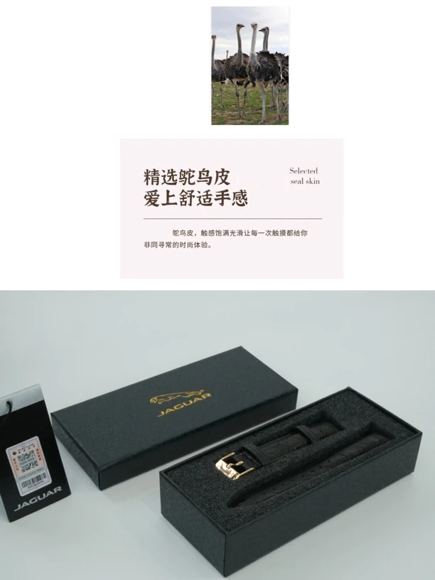 韩爵绅士 精选【鸵鸟皮表带】