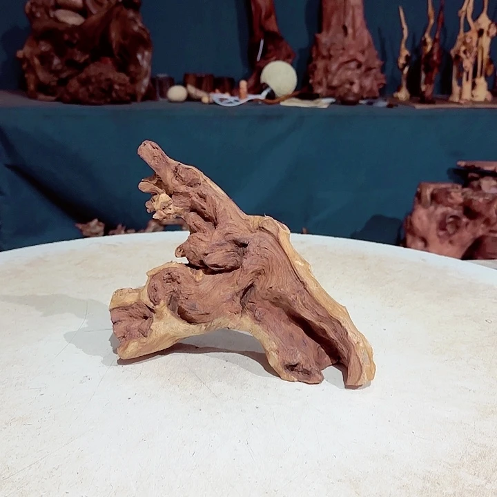 黑果木米*鼠393金丝红木羊蹄甲半成品