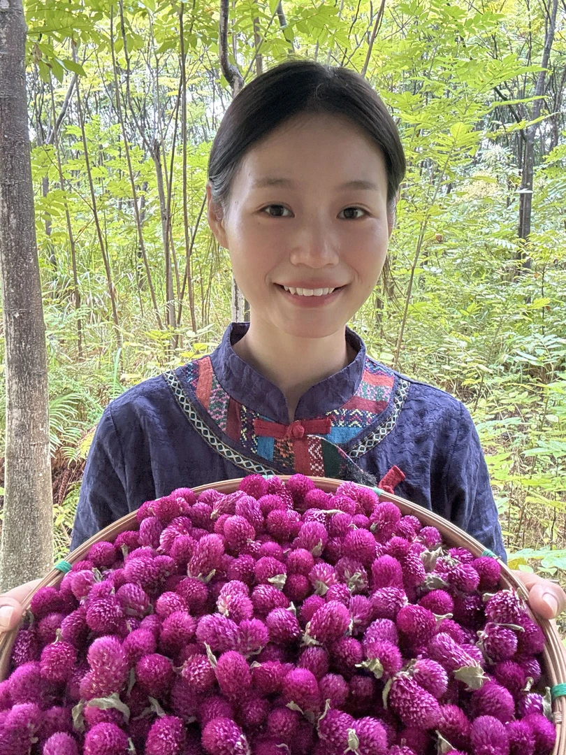 16  甄选好货【千岁花】珍藏       阿乐专属