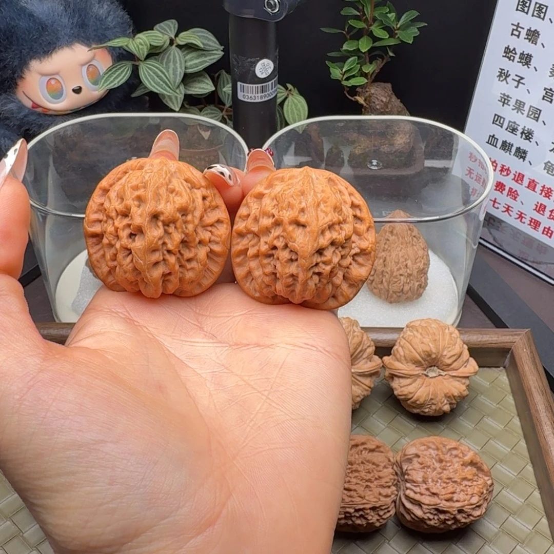 核桃精修头货金公子42