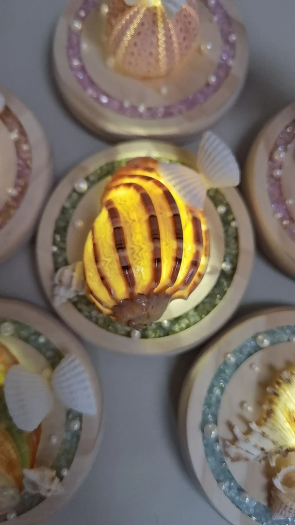 海螺贝壳手作小夜灯