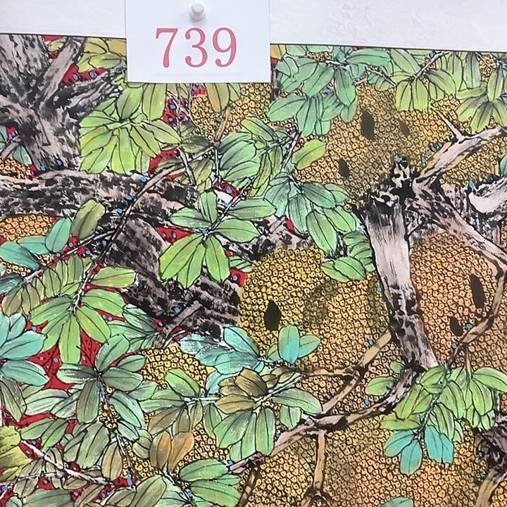 横款开播时间播出地点