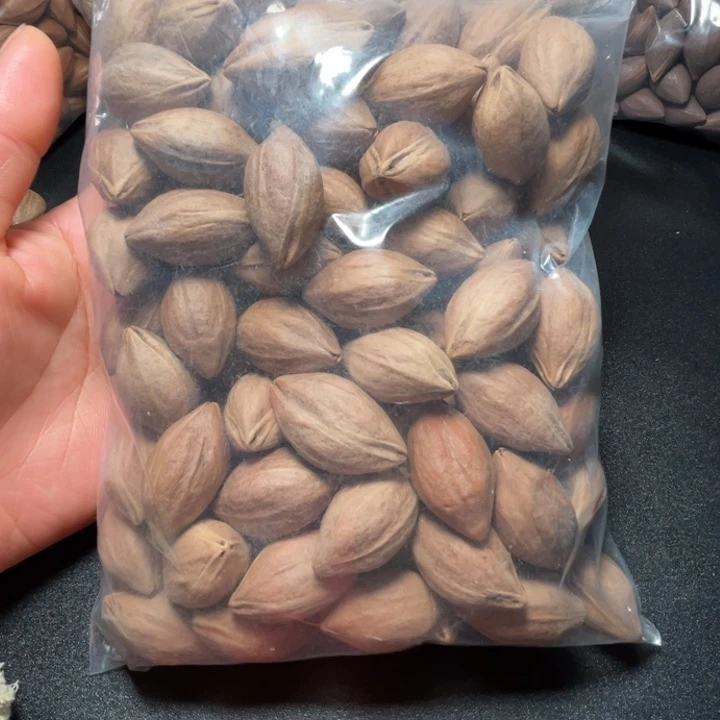 手串/手链猪牙我是