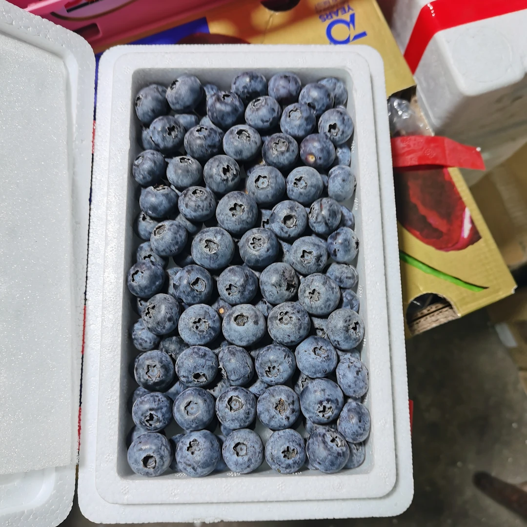 山东小泡沫箱蓝莓400g15mm优瑞卡云南省鹤岗市