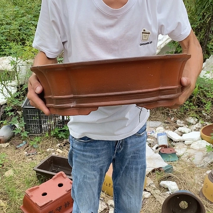 花盆紫砂你在我心里的时候就像