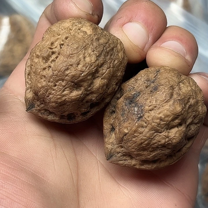 核桃72号肥蟾39尺