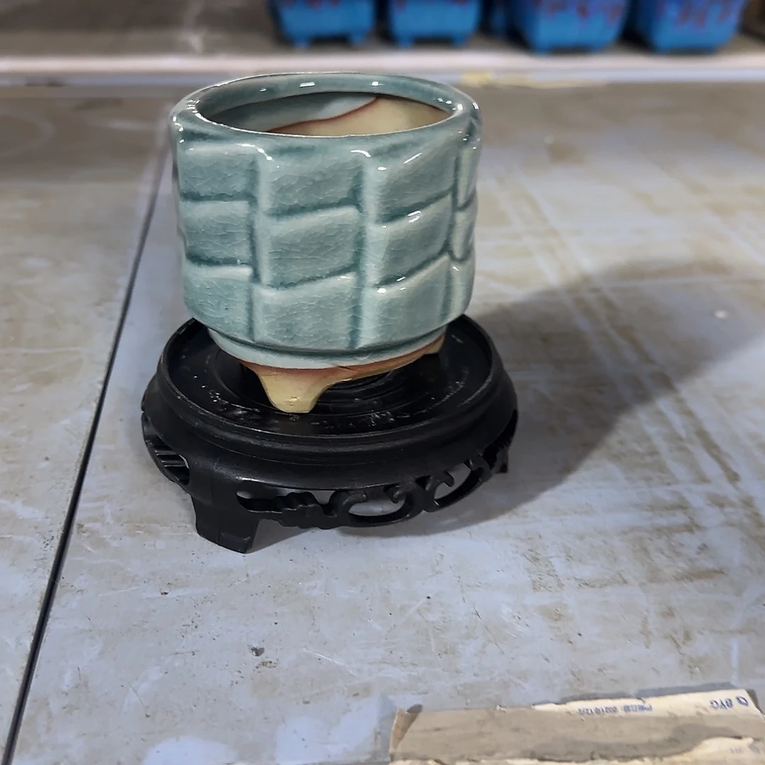 陶瓷送塑料托盘，凑9元发