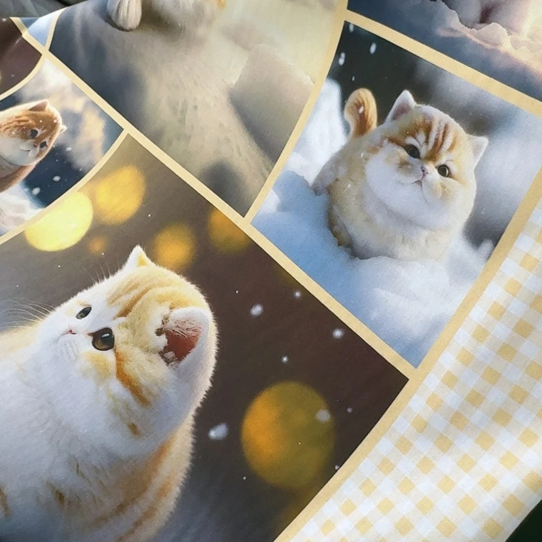 纯棉平布1.18米长X1.1米宽12区