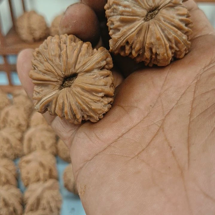 旺***猫无花朵四座楼核桃无花