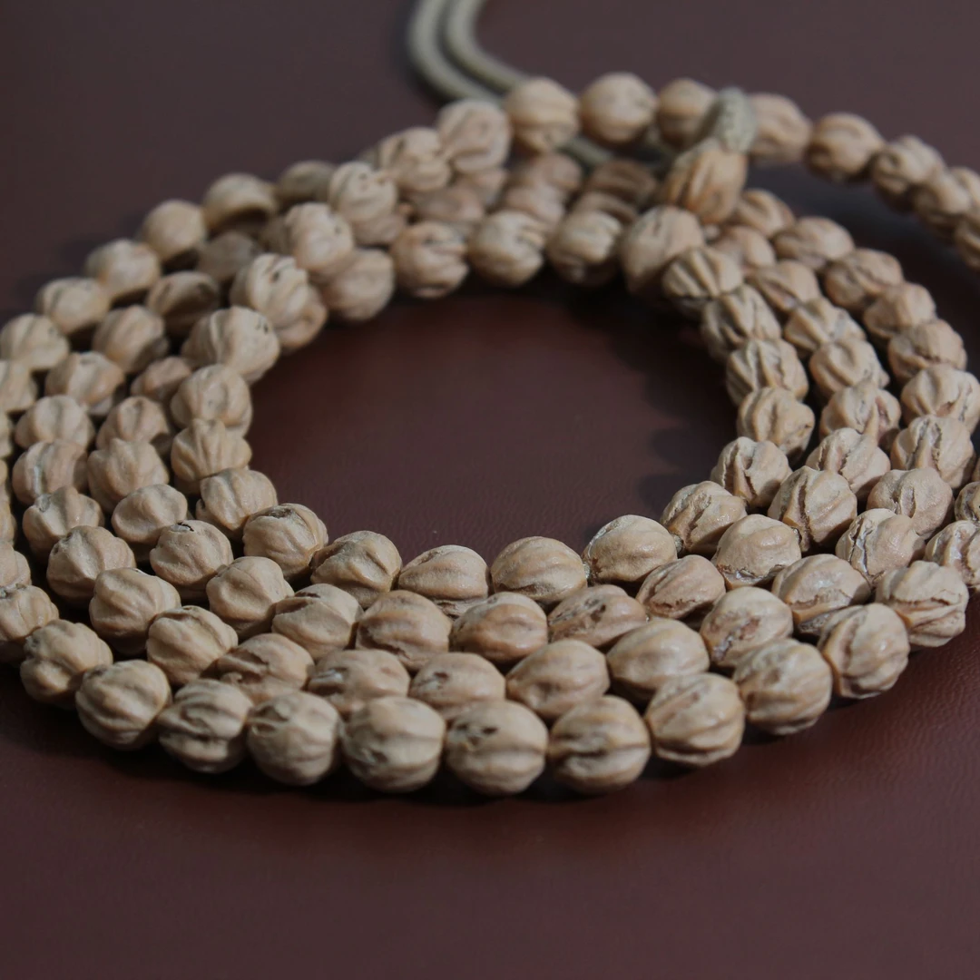 CJ6116热振【精工】6mm原装五爪金龙红芽口108柏香籽