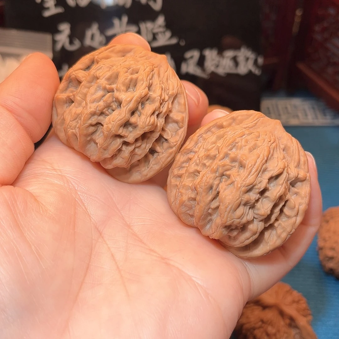 42.5麦穗虎头，粗筋厚棱……