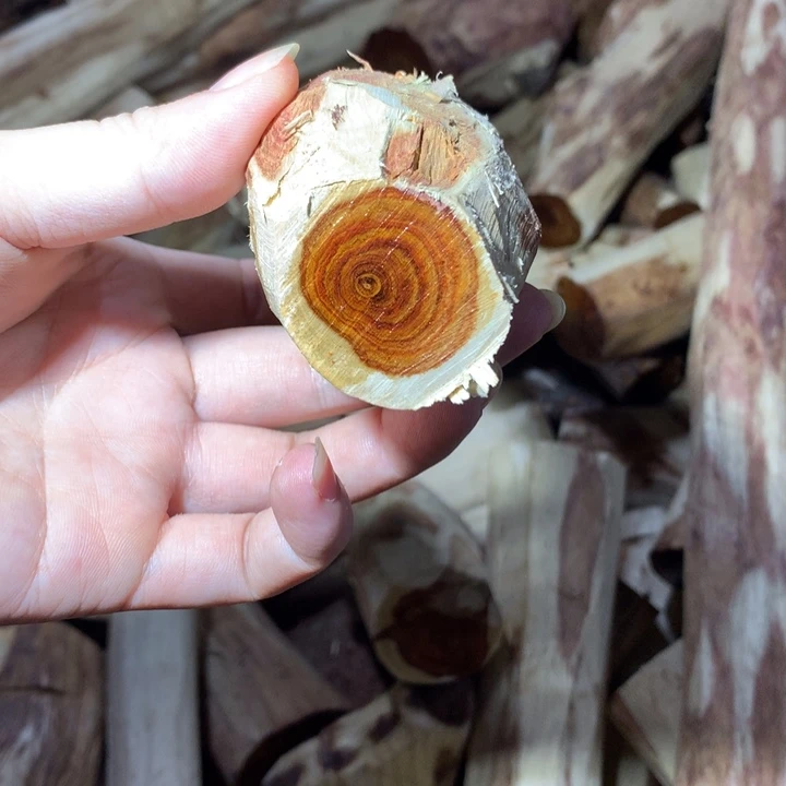 花梨木类海南黄花梨