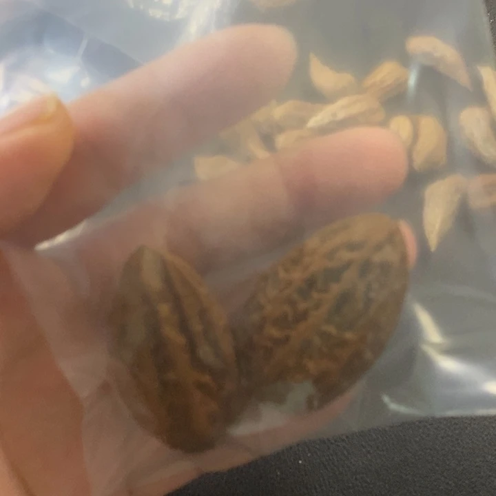 问***道文玩核桃把件文玩木质核桃手捻