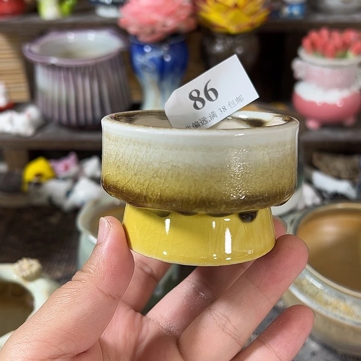 口6 手工花盆满30包邮