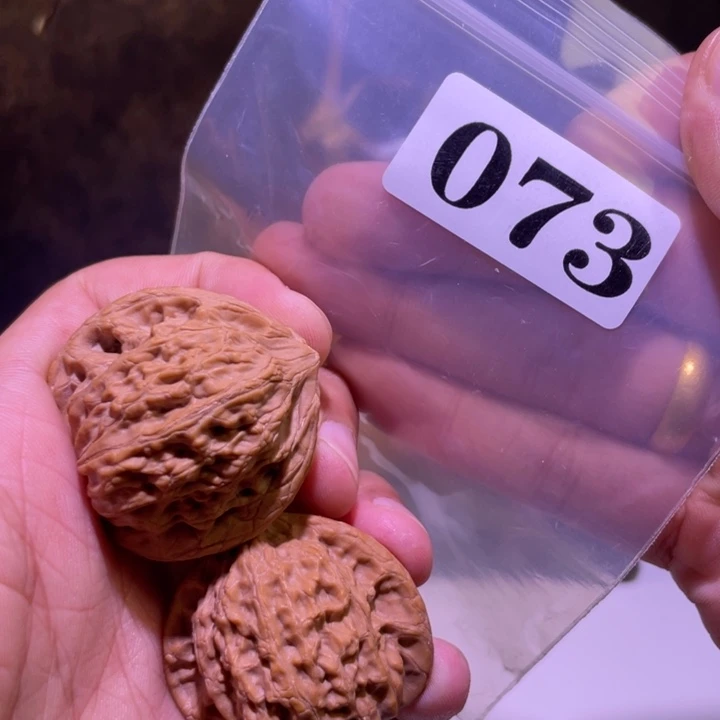 吊坠文玩核桃073崔凯