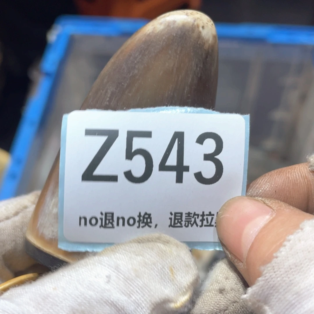 帝***花瓷片火爆热卖火爆热卖