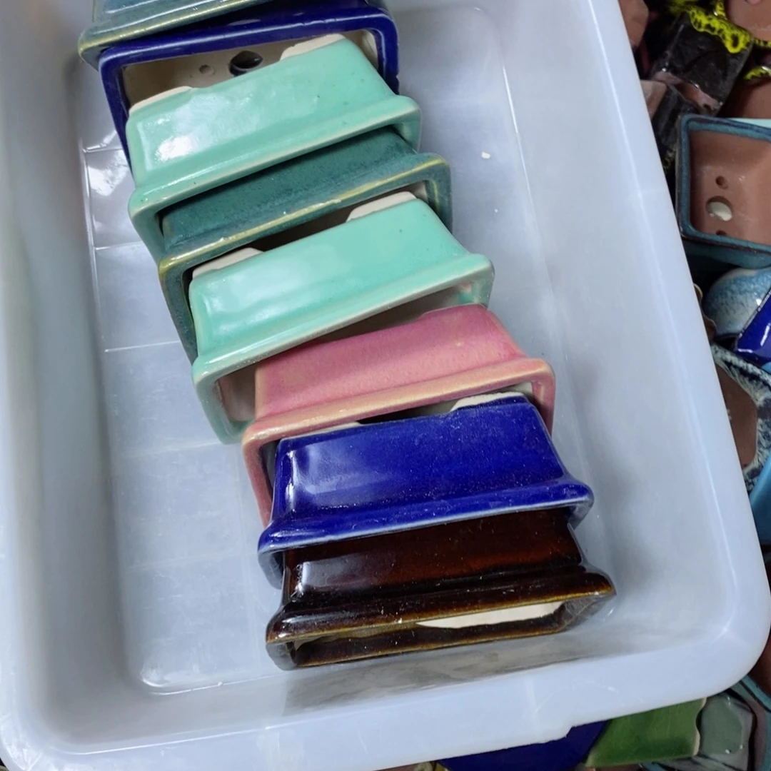 红陶蝎***刺不去看就不要了嘛