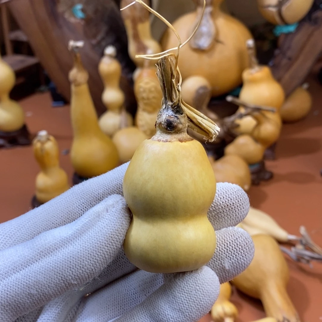 W***m教练咯哦哦哦哦咯