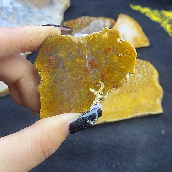 硅化玉未镶嵌颈饰