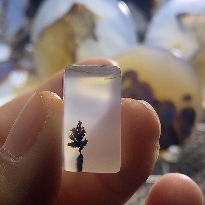 未镶嵌颈饰玛瑙/玉髓*️***