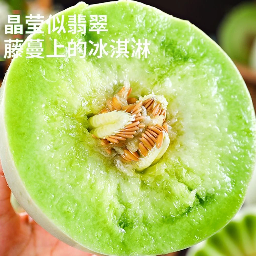 SZ山东头茬玉菇冰淇淋甜瓜带箱5斤装软糯香甜的冰淇凌甜瓜