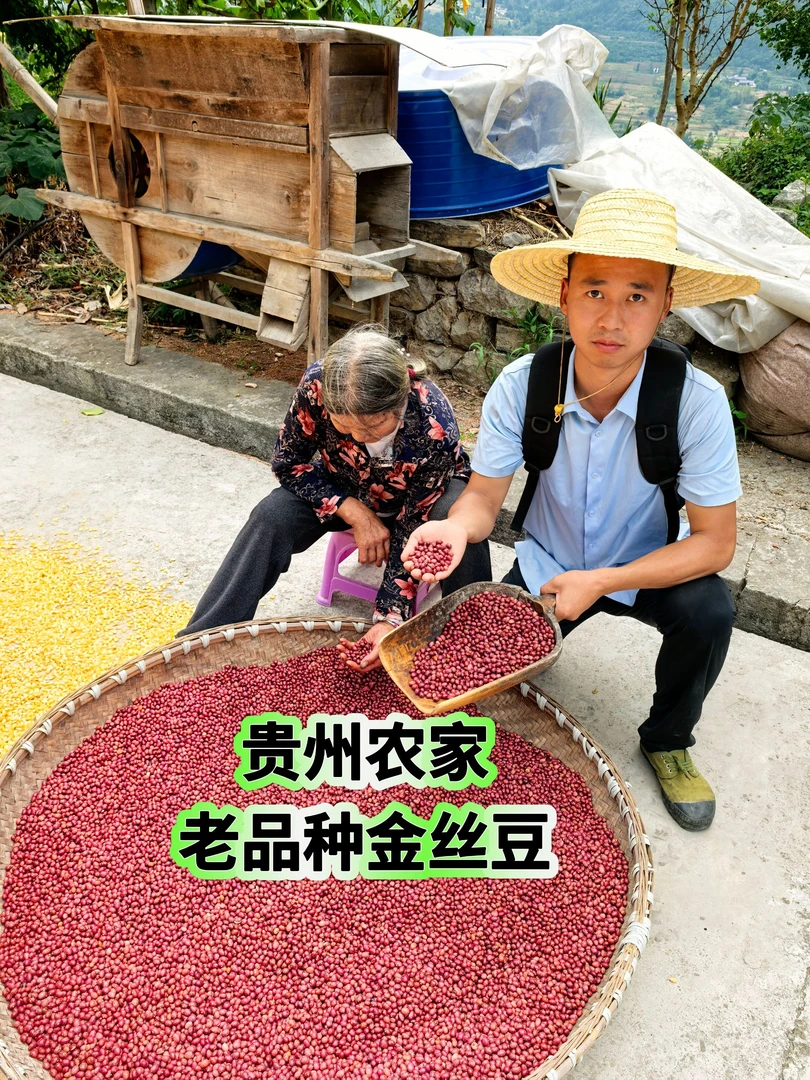 2025老品种新豆 金丝豆 红花豆 团豆 煲汤炖排骨