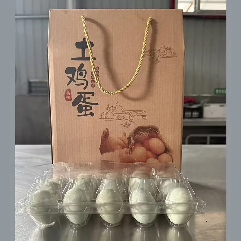 家养溜达鸡土鸡蛋纯乌鸡蛋