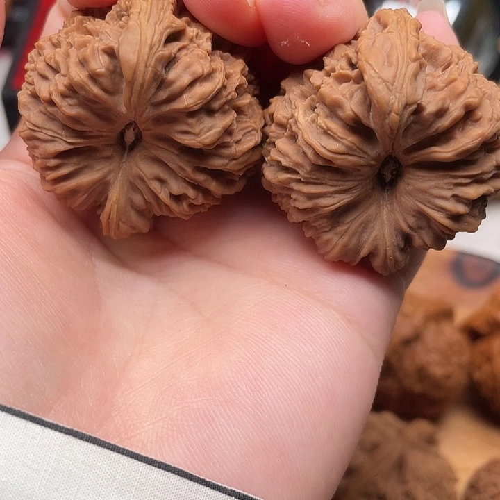 木质一代边41-42三角黄金甲