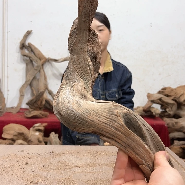 柏木壹*堂我们都是好孩子