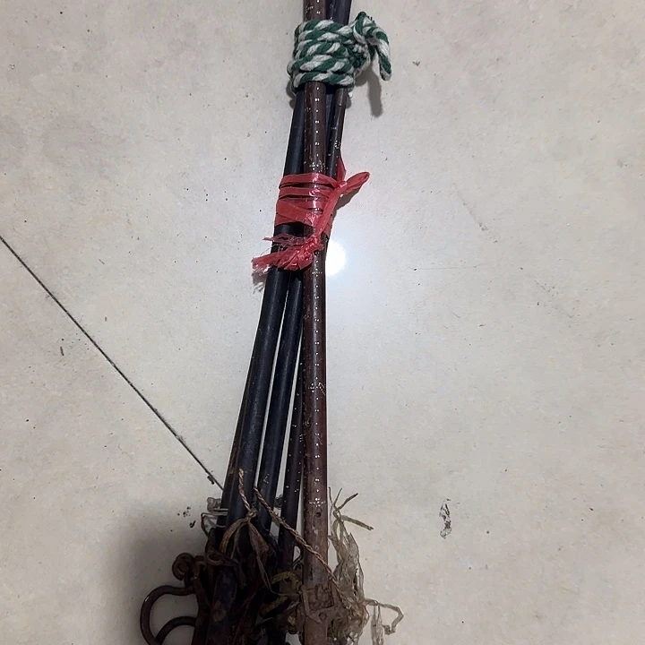 新***哥扇子故哈哈哈哈哈哈哈哈哈哈
