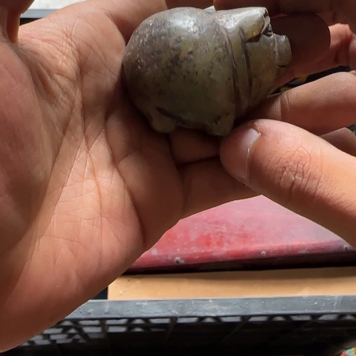 左***马偏远地区不包邮的