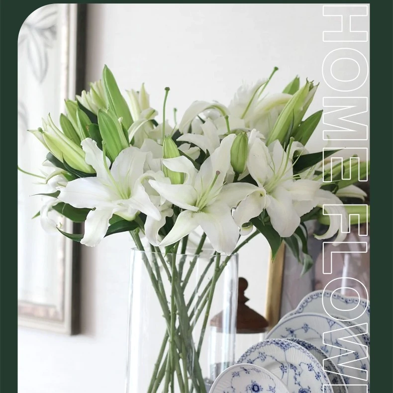 白色百合5支花苞15-20个花头（其中1支防损耗）