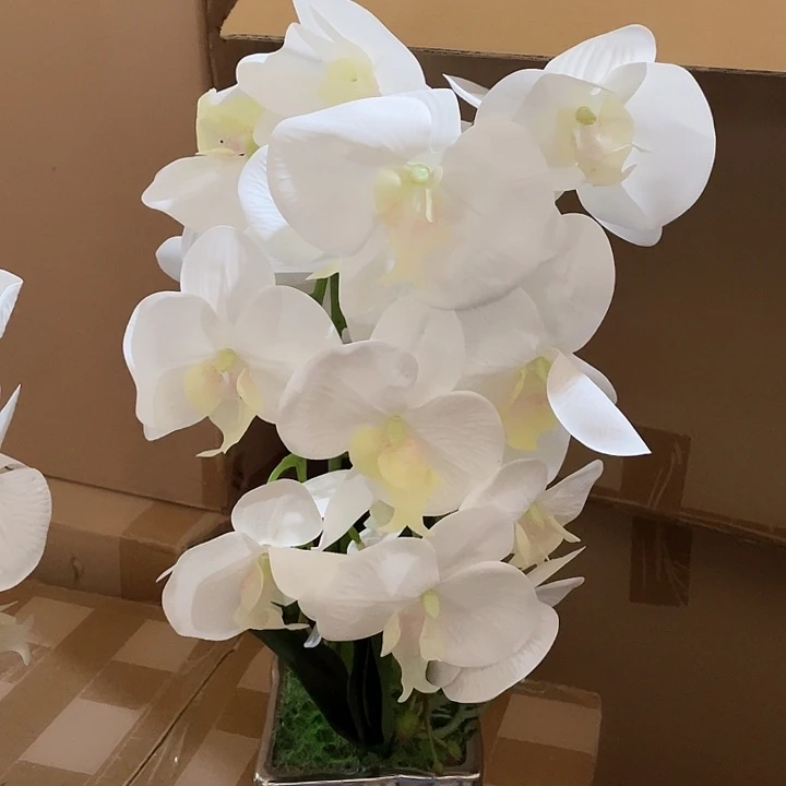陶瓷花瓶部分（微瑕）
