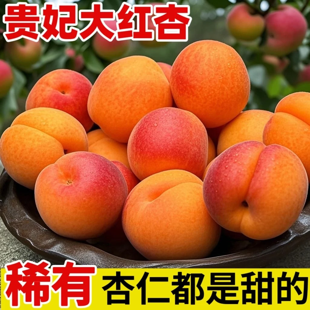 陕西头茬贵妃胭脂红杏新鲜当季水果酸甜可口孕妇适用1