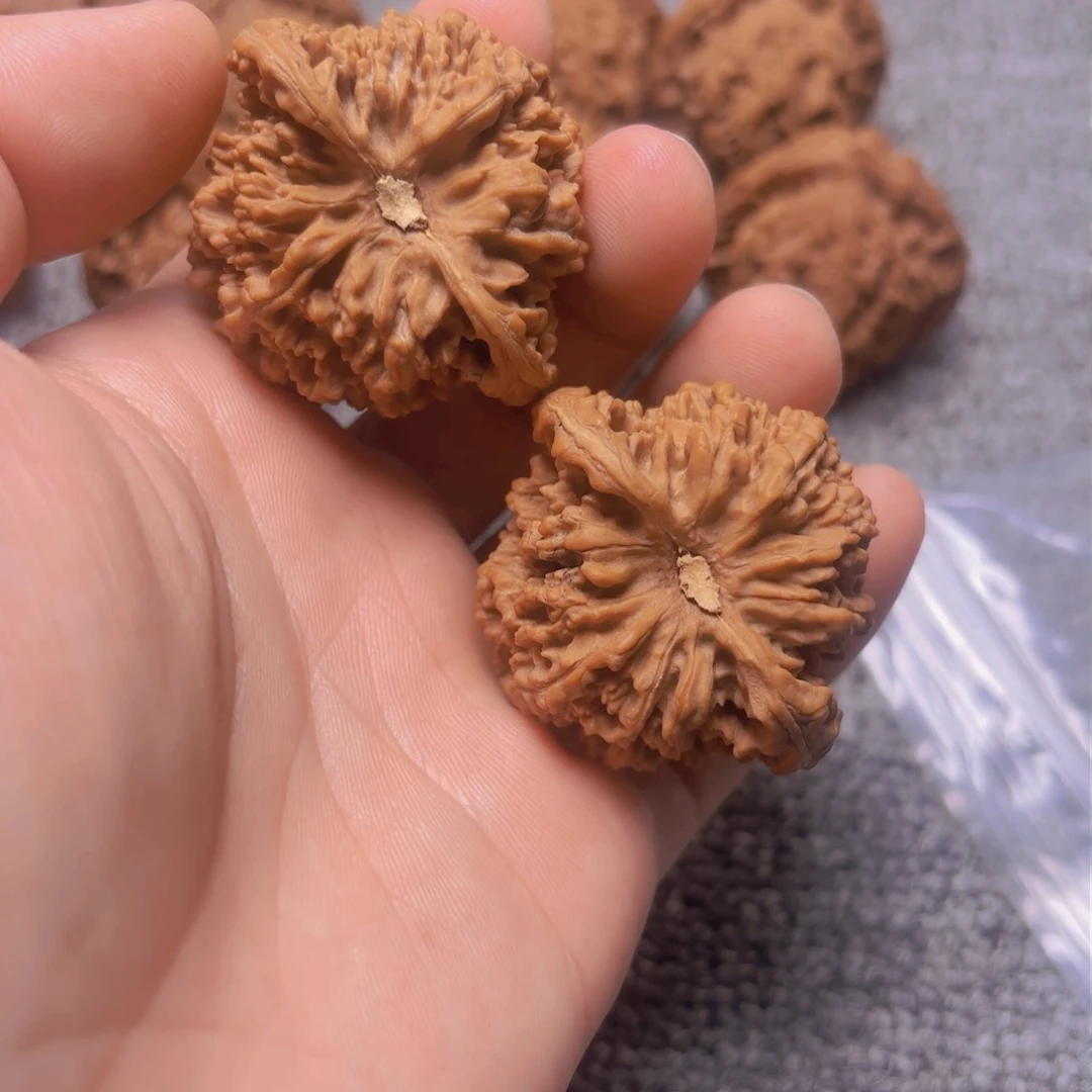 核桃把件43满天星狮子头