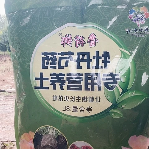 完全开放草碳土。