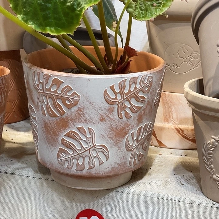 19.5×17花盆一个，，，，，