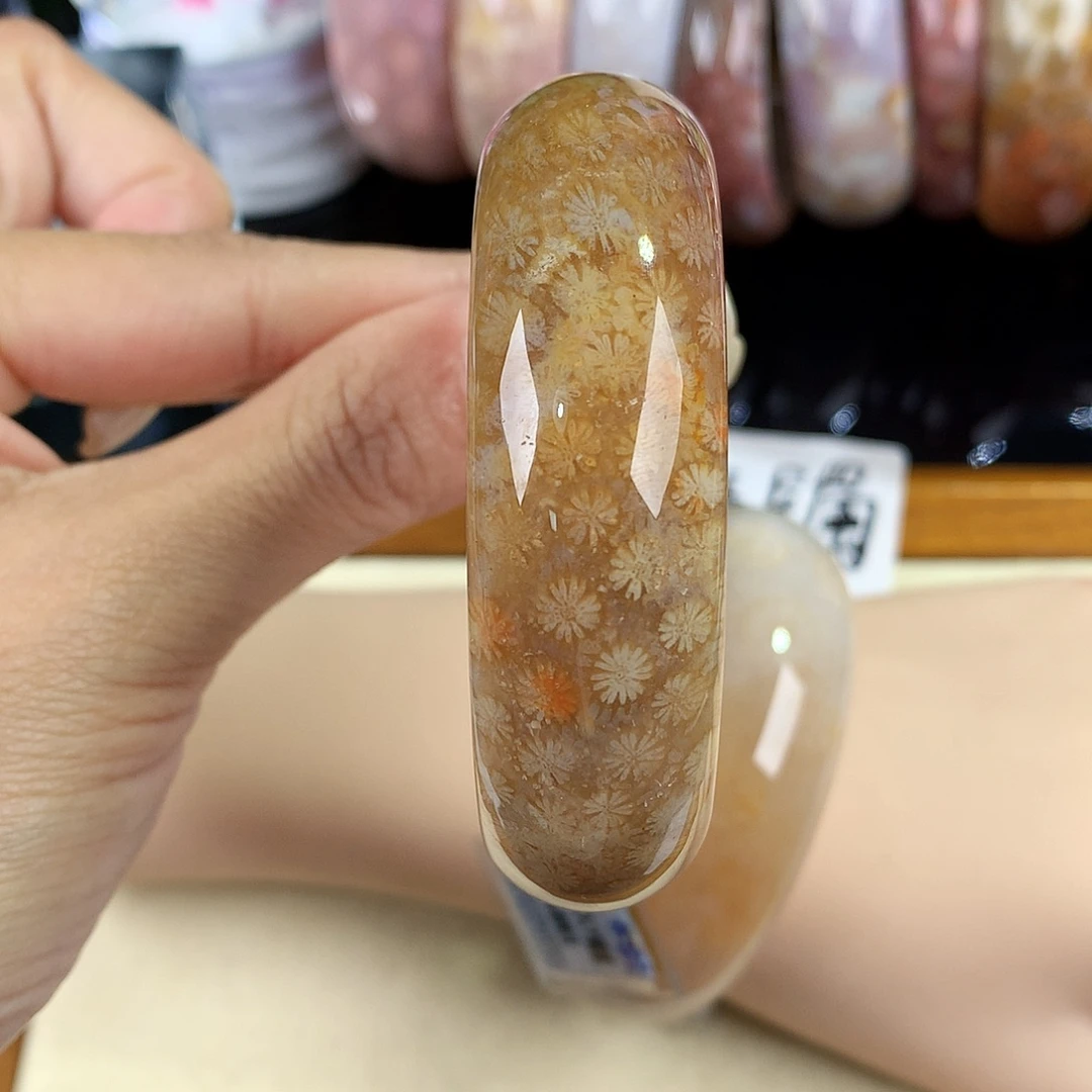 硅化珊瑚（珊瑚玉）未镶嵌吊坠(赠链)15号54圈口