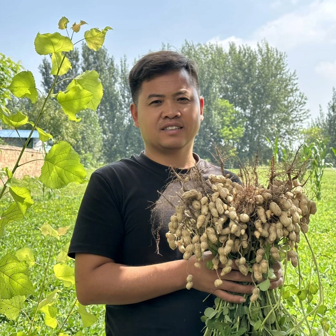 现挖带壳带泥新鲜黑花生皮生吃清脆水煮软糯香甜